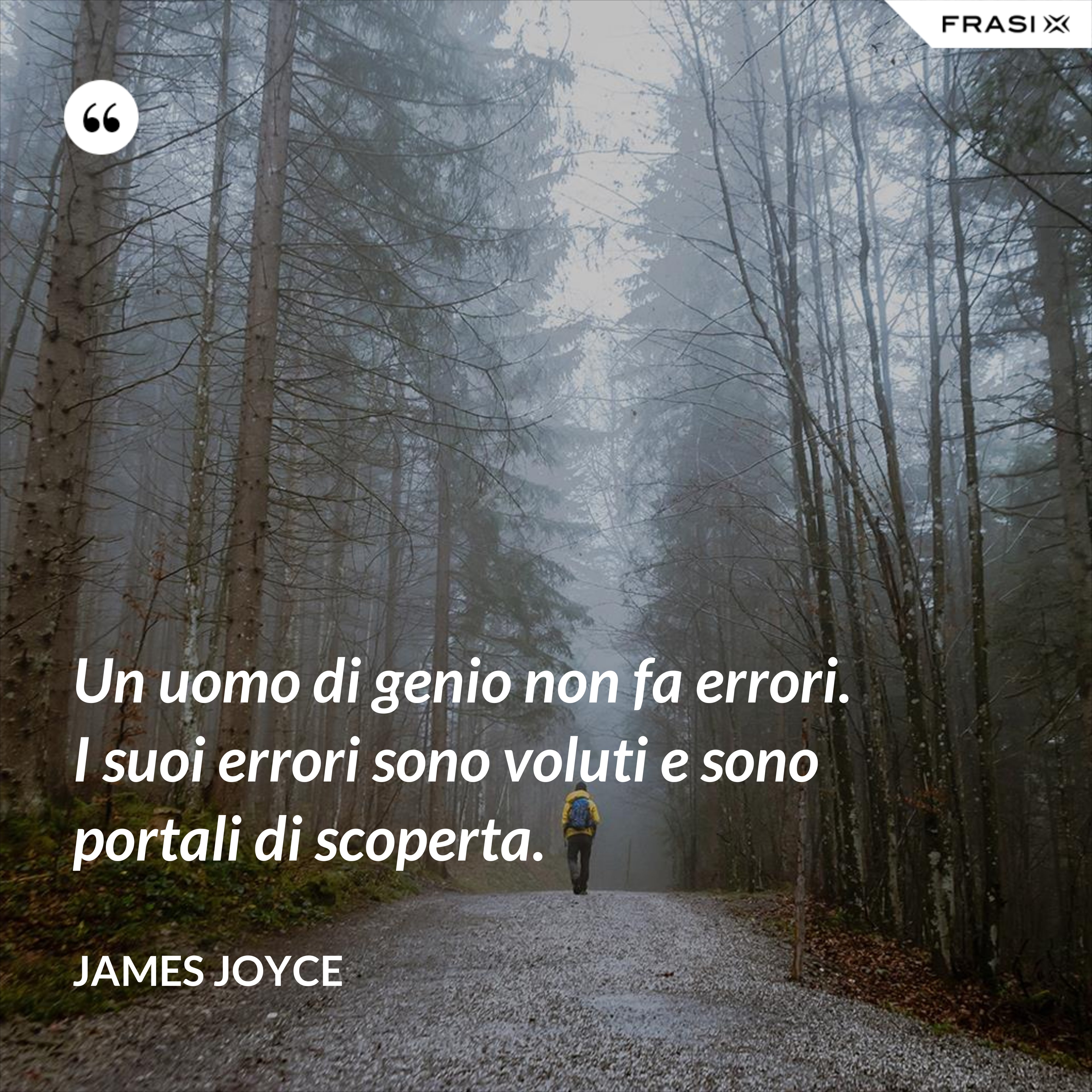 Un uomo di genio non fa errori. I suoi errori sono voluti e sono portali di scoperta. - James Joyce
