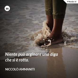 Niente può arginare una diga che si è rotta. - Niccolò Ammaniti