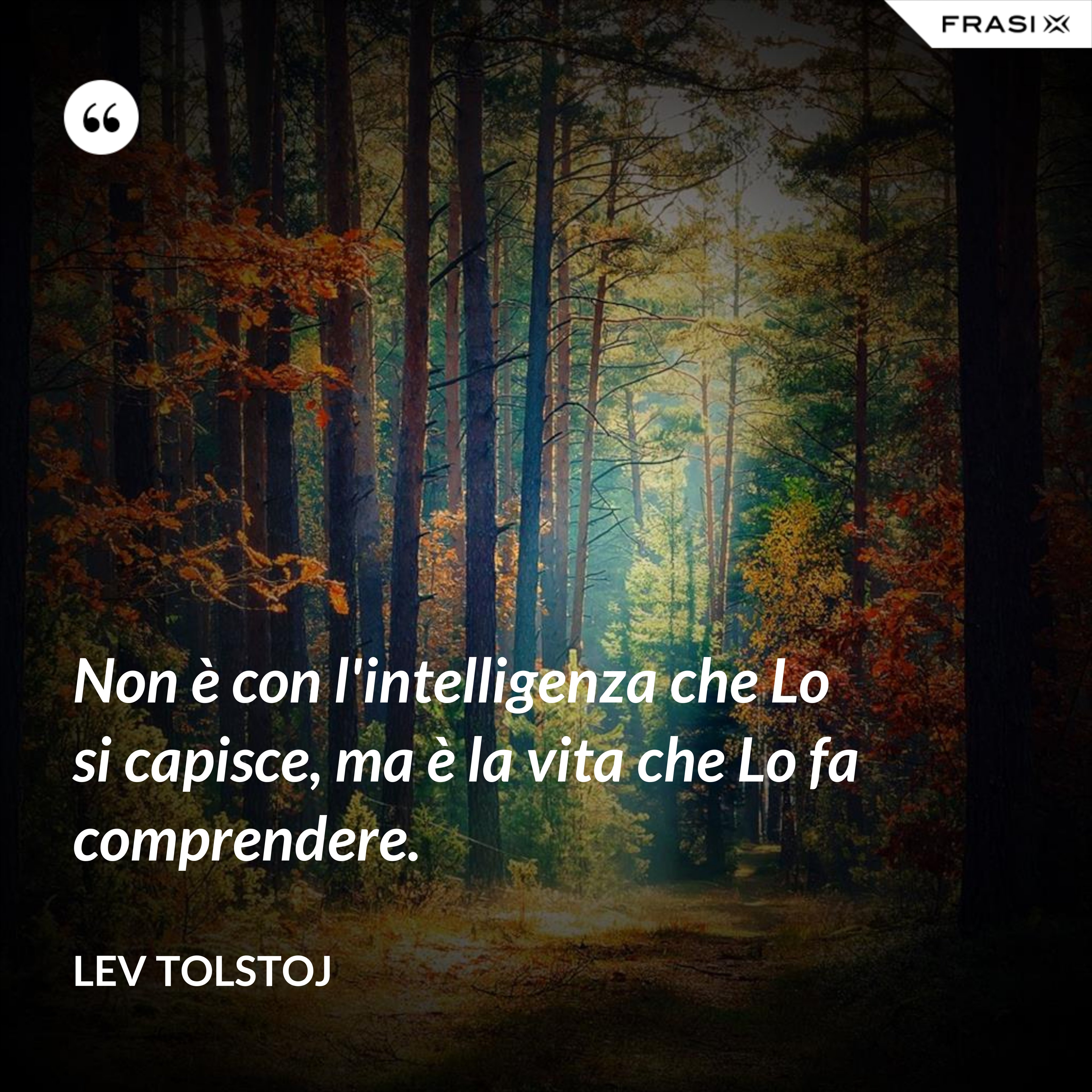 Non è con l'intelligenza che Lo si capisce, ma è la vita che Lo fa comprendere. - Lev Tolstoj