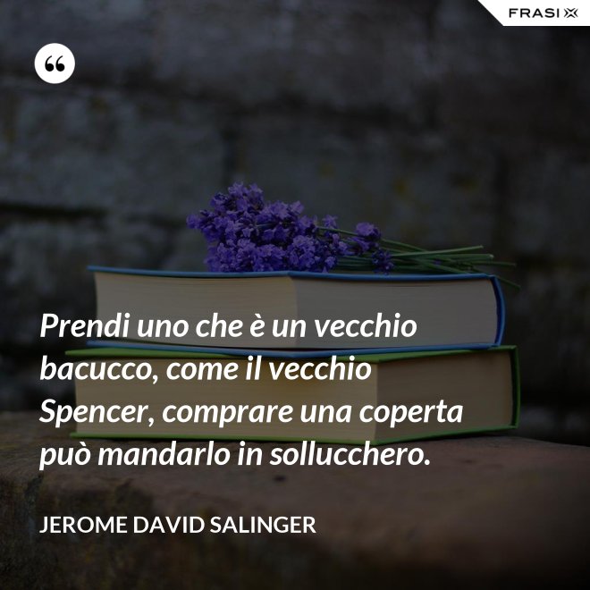 Prendi uno che è un vecchio bacucco, come il vecchio Spencer, comprare una coperta può mandarlo in sollucchero. - Jerome David Salinger