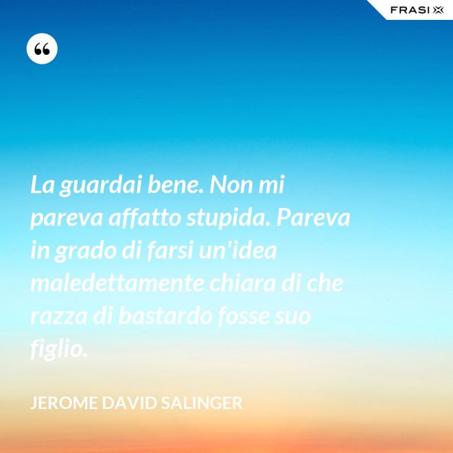 La guardai bene. Non mi pareva affatto stupida. Pareva in grado di farsi un'idea maledettamente chiara di che razza di bastardo fosse suo figlio. - Jerome David Salinger