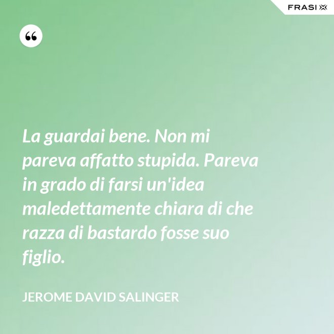La guardai bene. Non mi pareva affatto stupida. Pareva in grado di farsi un'idea maledettamente chiara di che razza di bastardo fosse suo figlio. - Jerome David Salinger
