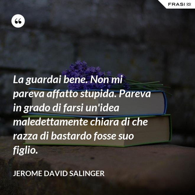 La guardai bene. Non mi pareva affatto stupida. Pareva in grado di farsi un'idea maledettamente chiara di che razza di bastardo fosse suo figlio. - Jerome David Salinger