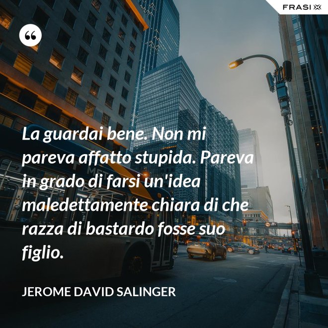 La guardai bene. Non mi pareva affatto stupida. Pareva in grado di farsi un'idea maledettamente chiara di che razza di bastardo fosse suo figlio. - Jerome David Salinger