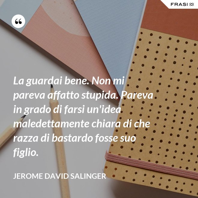 La guardai bene. Non mi pareva affatto stupida. Pareva in grado di farsi un'idea maledettamente chiara di che razza di bastardo fosse suo figlio. - Jerome David Salinger