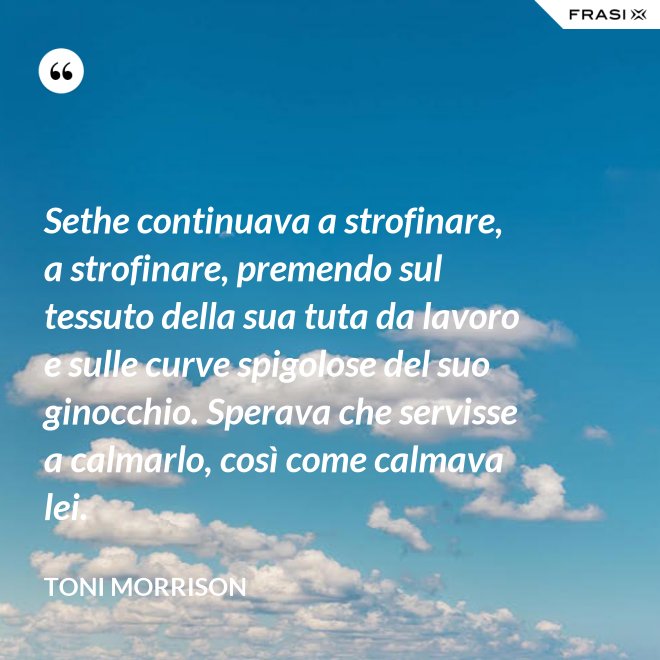 Sethe continuava a strofinare, a strofinare, premendo sul tessuto della sua tuta da lavoro e sulle curve spigolose del suo ginocchio. Sperava che servisse a calmarlo, così come calmava lei. - Toni Morrison
