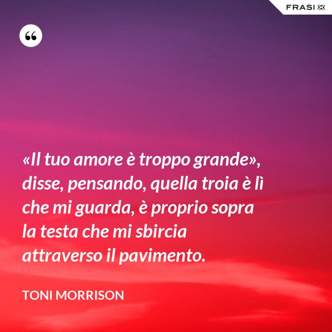 «Il tuo amore è troppo grande», disse, pensando, quella troia è lì che mi guarda, è proprio sopra la testa che mi sbircia attraverso il pavimento. - Toni Morrison