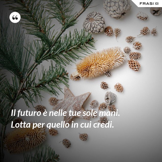 Il futuro è nelle tue sole mani. Lotta per quello in cui credi. - Anonimo