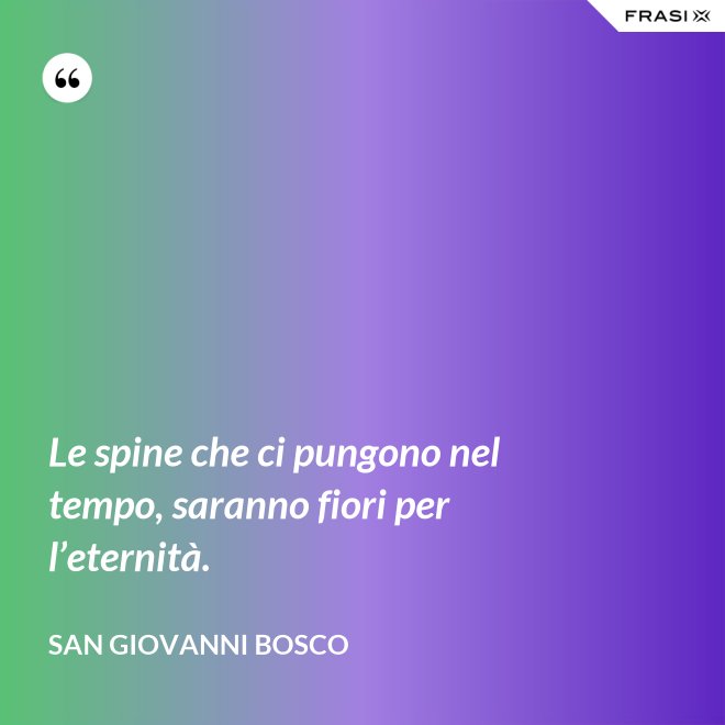 Le spine che ci pungono nel tempo, saranno fiori per l’eternità. - San Giovanni Bosco