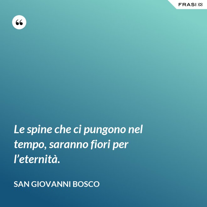 Le spine che ci pungono nel tempo, saranno fiori per l’eternità. - San Giovanni Bosco