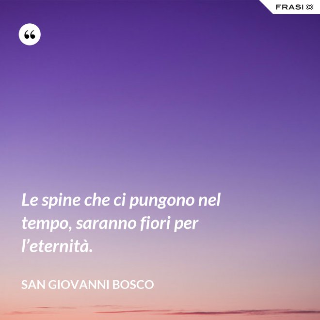 Le spine che ci pungono nel tempo, saranno fiori per l’eternità. - San Giovanni Bosco