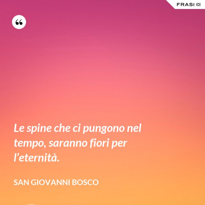 Le spine che ci pungono nel tempo, saranno fiori per l’eternità. - San Giovanni Bosco