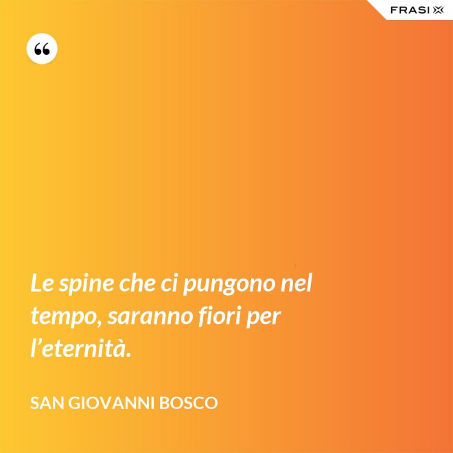 Le spine che ci pungono nel tempo, saranno fiori per l’eternità. - San Giovanni Bosco