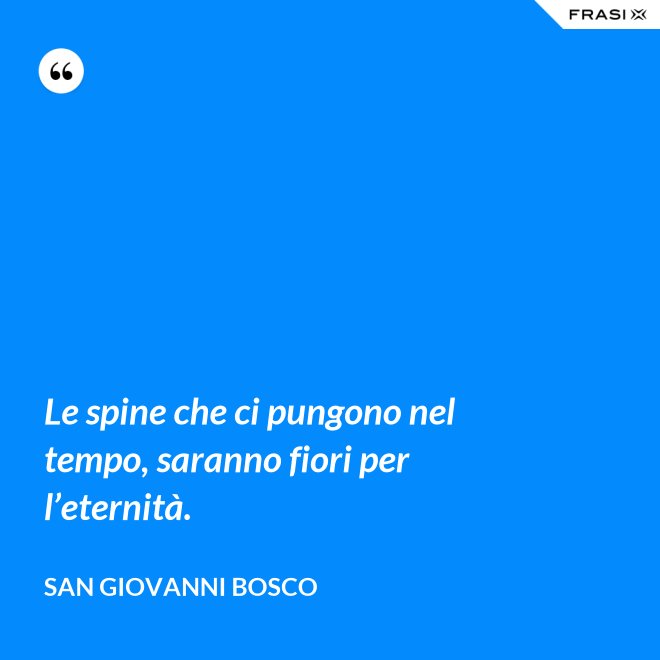 Le spine che ci pungono nel tempo, saranno fiori per l’eternità. - San Giovanni Bosco