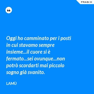 Oggi ho camminato per i posti in cui stavamo sempre insieme...il cuore si è fermato...sei ovunque...non potrò scordarti mai piccolo sogno già svanito. - Lamù