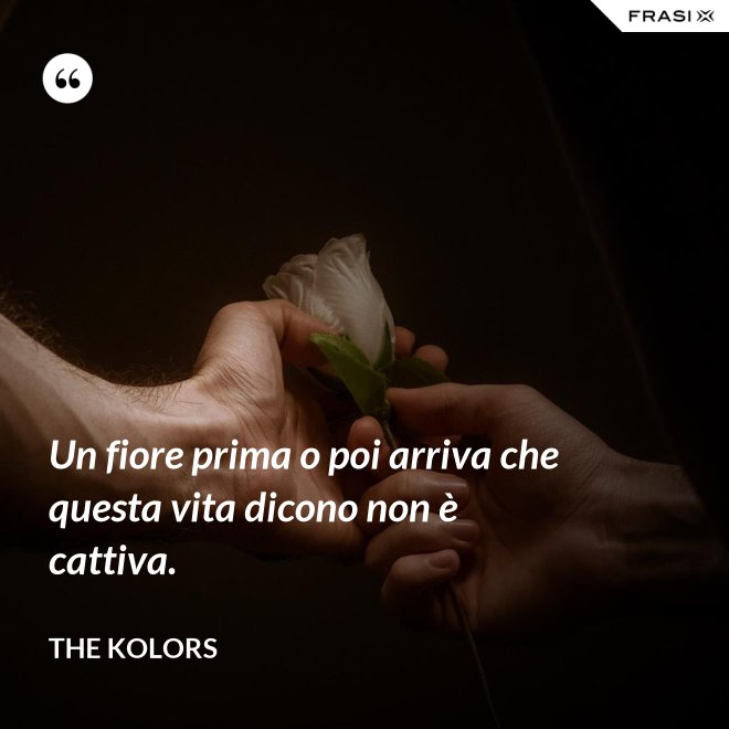 Un fiore prima o poi arriva che questa vita dicono non è cattiva. - The Kolors