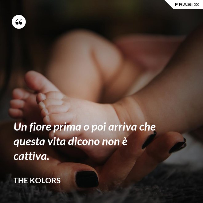 Un fiore prima o poi arriva che questa vita dicono non è cattiva. - The Kolors