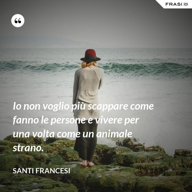 Io non voglio più scappare come fanno le persone e vivere per una volta come un animale strano. - Santi Francesi