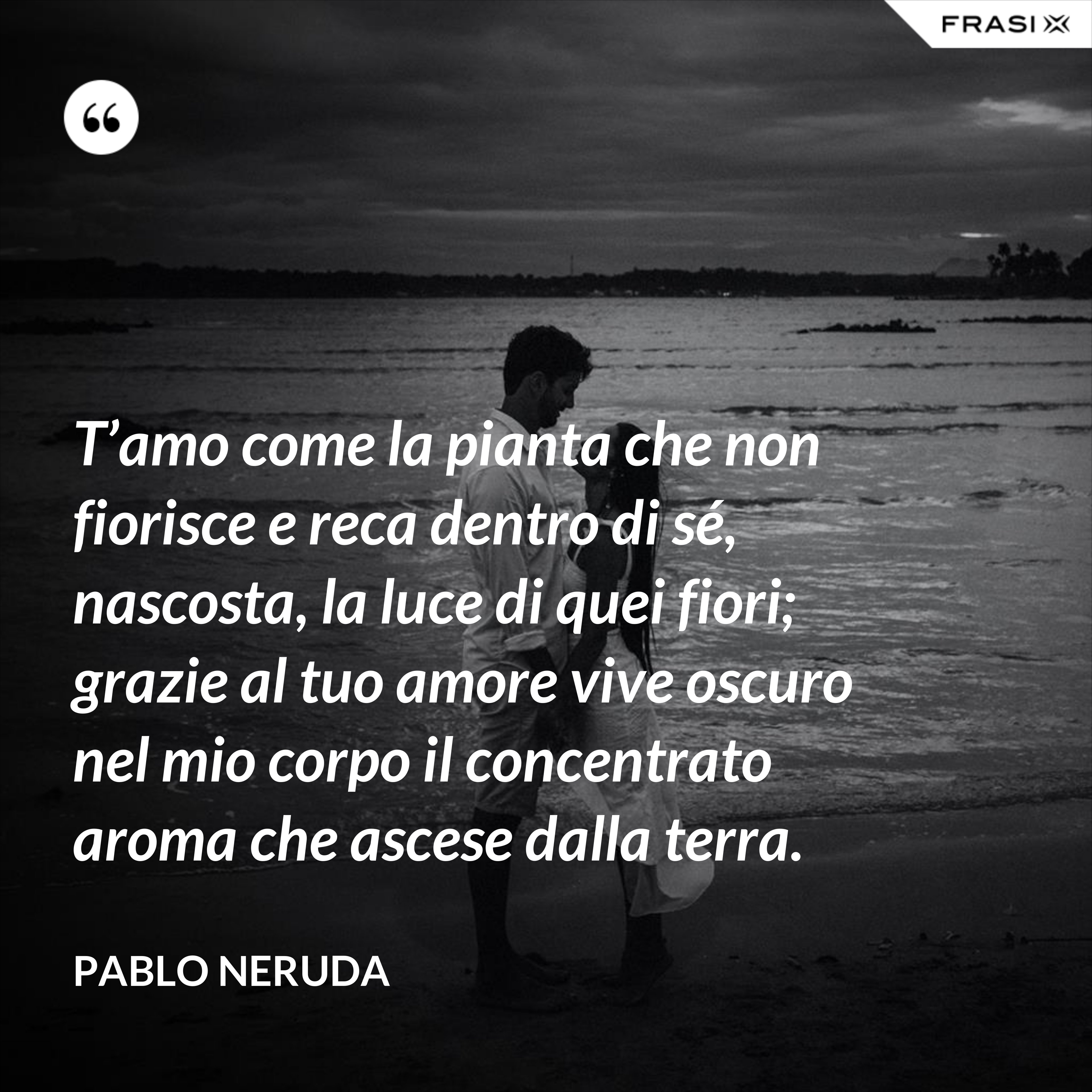 T’amo come la pianta che non fiorisce e reca dentro di sé, nascosta, la luce di quei fiori; grazie al tuo amore vive oscuro nel mio corpo il concentrato aroma che ascese dalla terra. - Pablo Neruda