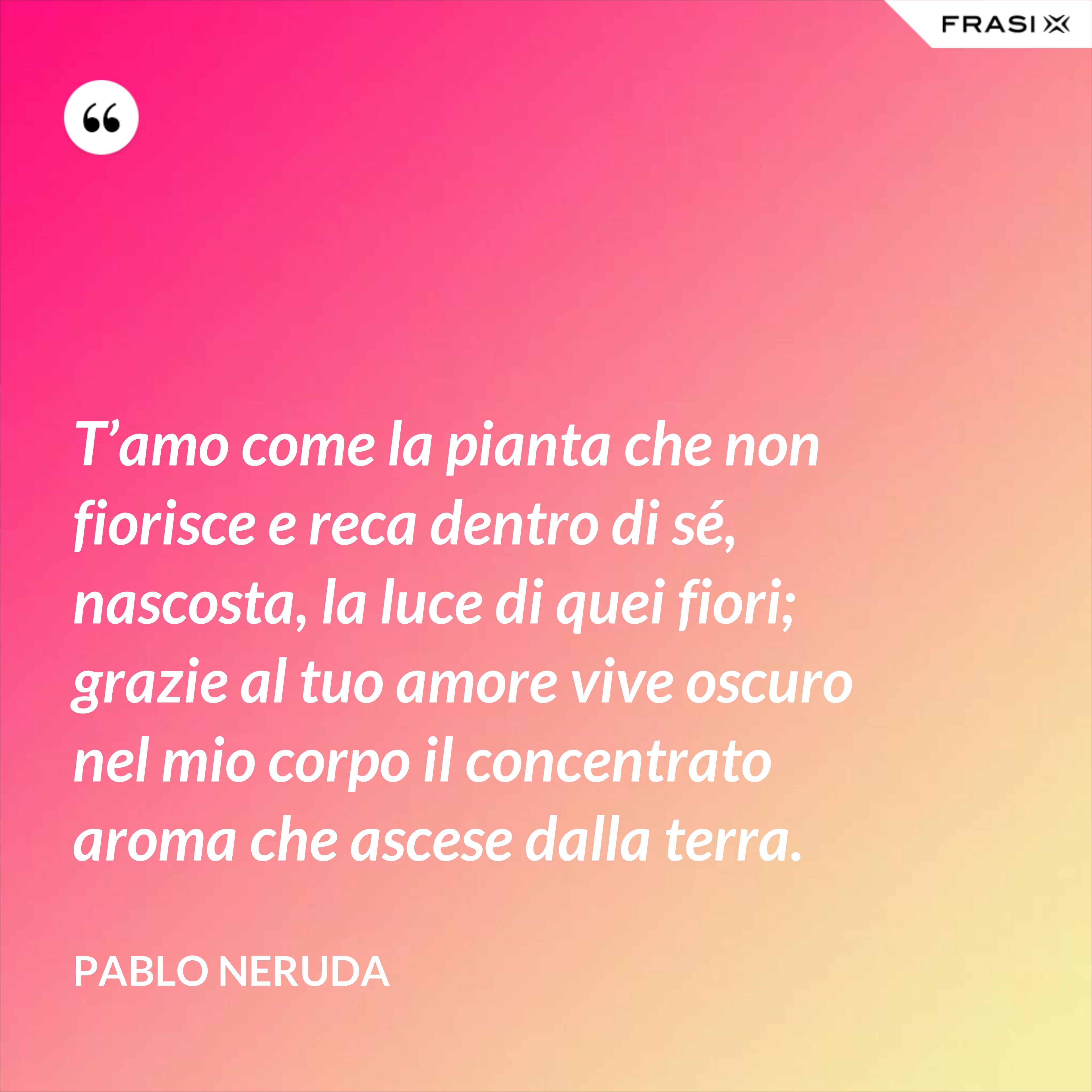 T’amo come la pianta che non fiorisce e reca dentro di sé, nascosta, la luce di quei fiori; grazie al tuo amore vive oscuro nel mio corpo il concentrato aroma che ascese dalla terra. - Pablo Neruda