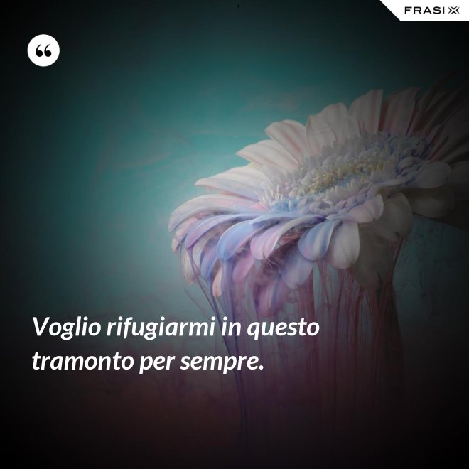 Voglio rifugiarmi in questo tramonto per sempre. - Anonimo