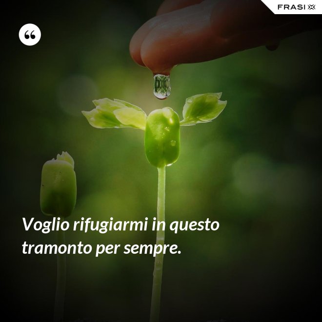 Voglio rifugiarmi in questo tramonto per sempre. - Anonimo