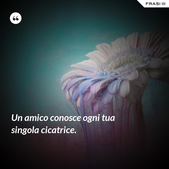 Un amico conosce ogni tua singola cicatrice. - Anonimo