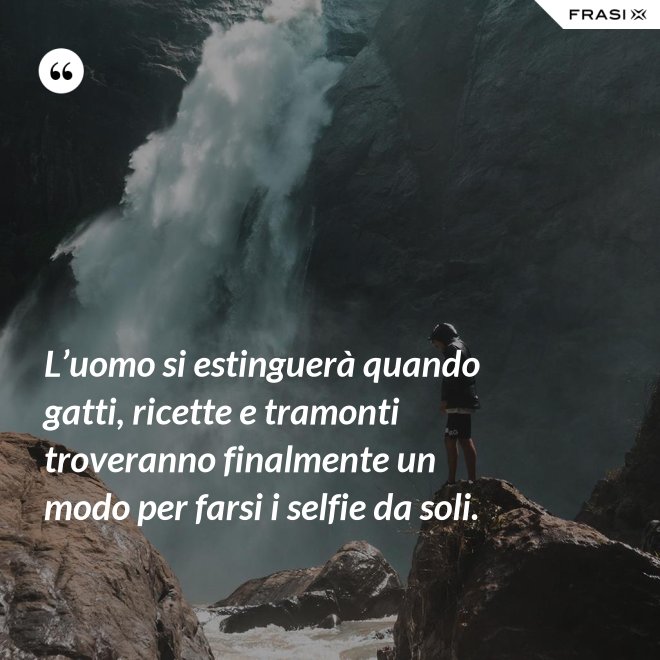L’uomo si estinguerà quando gatti, ricette e tramonti troveranno finalmente un modo per farsi i selfie da soli. - Anonimo