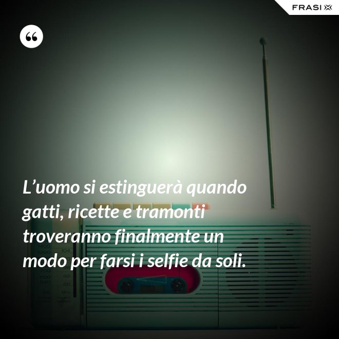 L’uomo si estinguerà quando gatti, ricette e tramonti troveranno finalmente un modo per farsi i selfie da soli. - Anonimo