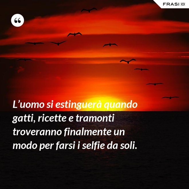 L’uomo si estinguerà quando gatti, ricette e tramonti troveranno finalmente un modo per farsi i selfie da soli. - Anonimo
