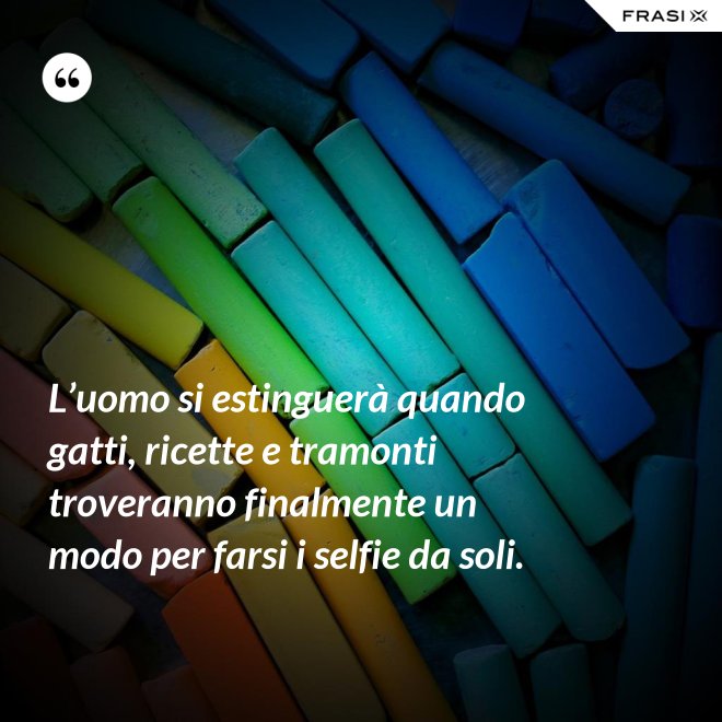 L’uomo si estinguerà quando gatti, ricette e tramonti troveranno finalmente un modo per farsi i selfie da soli. - Anonimo