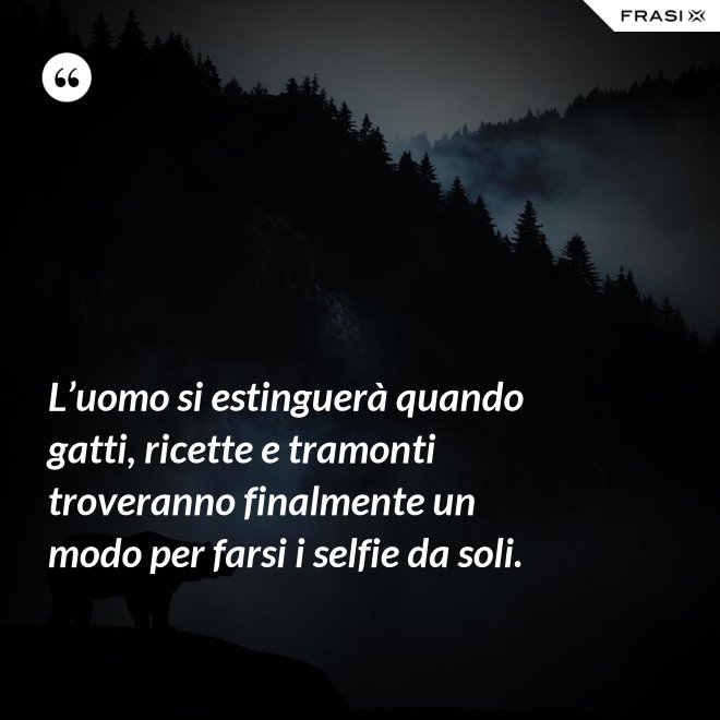 L’uomo si estinguerà quando gatti, ricette e tramonti troveranno finalmente un modo per farsi i selfie da soli. - Anonimo