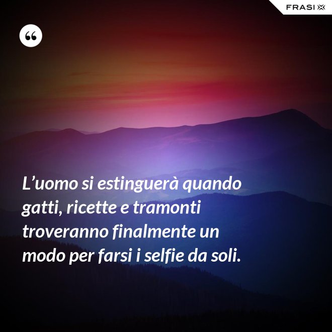 L’uomo si estinguerà quando gatti, ricette e tramonti troveranno finalmente un modo per farsi i selfie da soli. - Anonimo