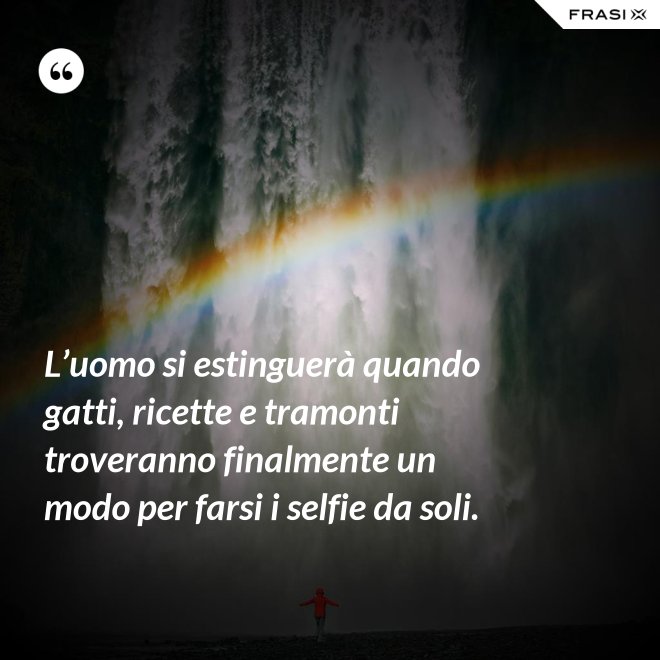 L’uomo si estinguerà quando gatti, ricette e tramonti troveranno finalmente un modo per farsi i selfie da soli. - Anonimo