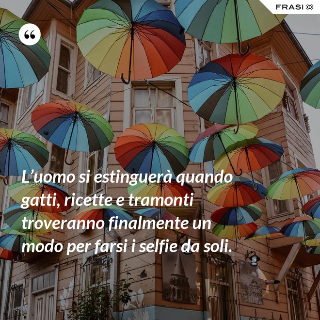 L’uomo si estinguerà quando gatti, ricette e tramonti troveranno finalmente un modo per farsi i selfie da soli. - Anonimo