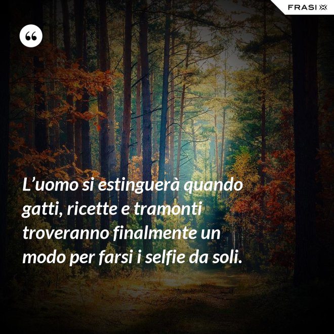 L’uomo si estinguerà quando gatti, ricette e tramonti troveranno finalmente un modo per farsi i selfie da soli. - Anonimo