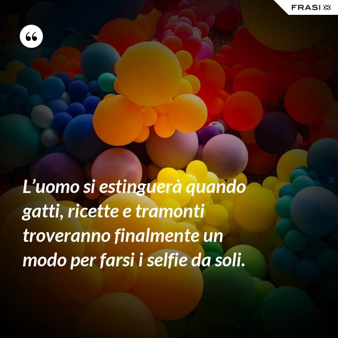 L’uomo si estinguerà quando gatti, ricette e tramonti troveranno finalmente un modo per farsi i selfie da soli. - Anonimo