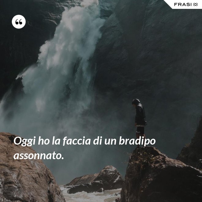 Oggi ho la faccia di un bradipo assonnato. - Anonimo