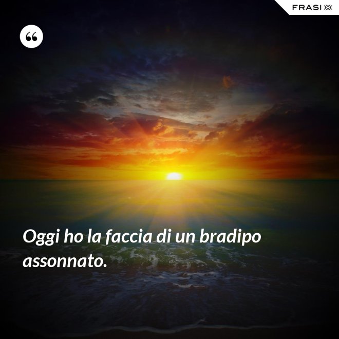 Oggi ho la faccia di un bradipo assonnato. - Anonimo
