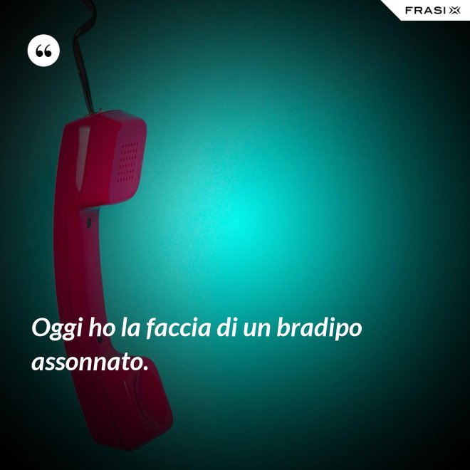 Oggi ho la faccia di un bradipo assonnato. - Anonimo