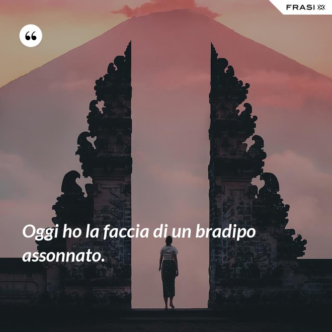 Oggi ho la faccia di un bradipo assonnato. - Anonimo