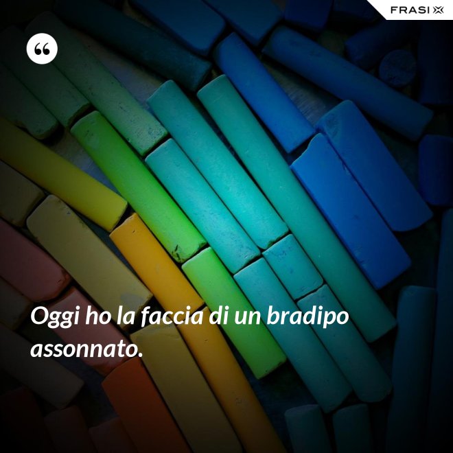 Oggi ho la faccia di un bradipo assonnato. - Anonimo