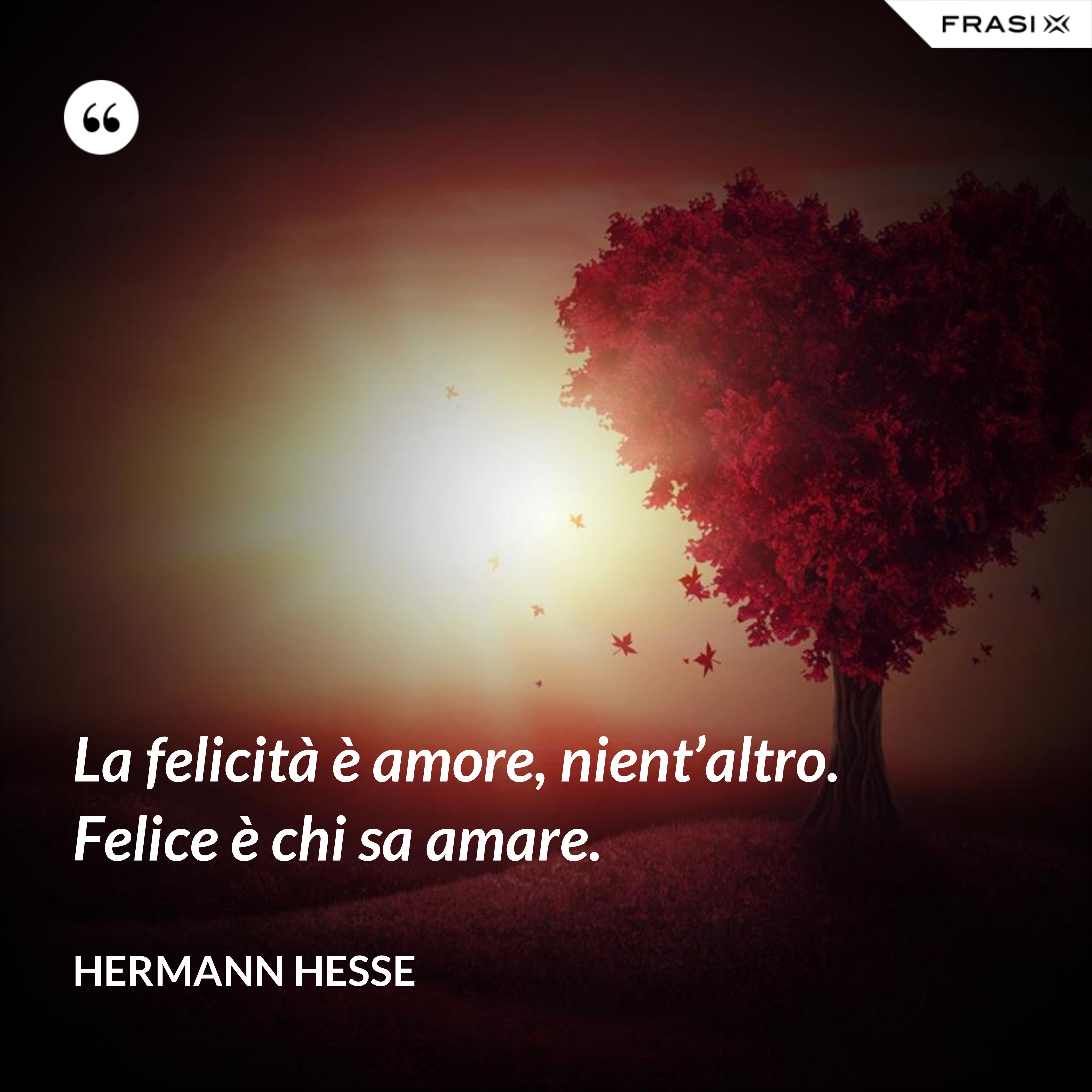 La felicità è amore, nient’altro. Felice è chi sa amare. - Hermann Hesse