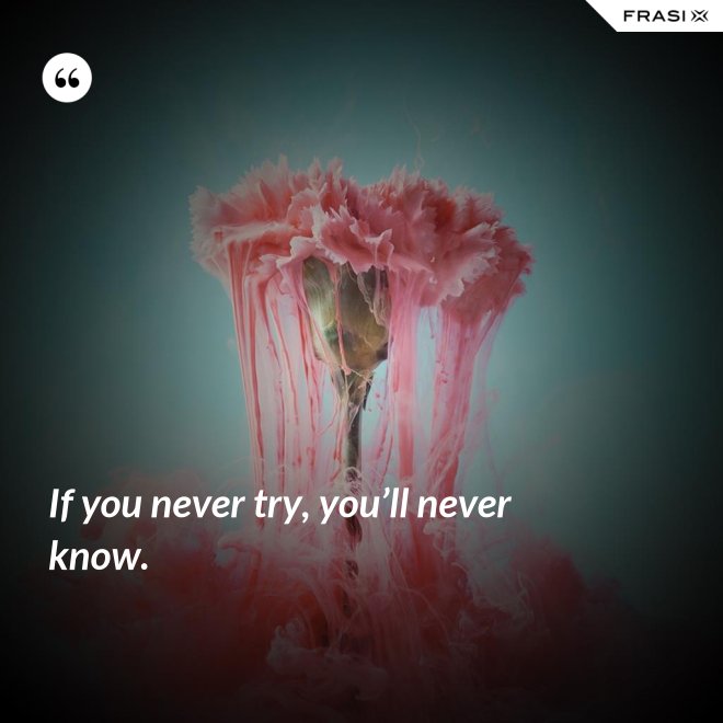 If you never try, you’ll never know. - Anonimo