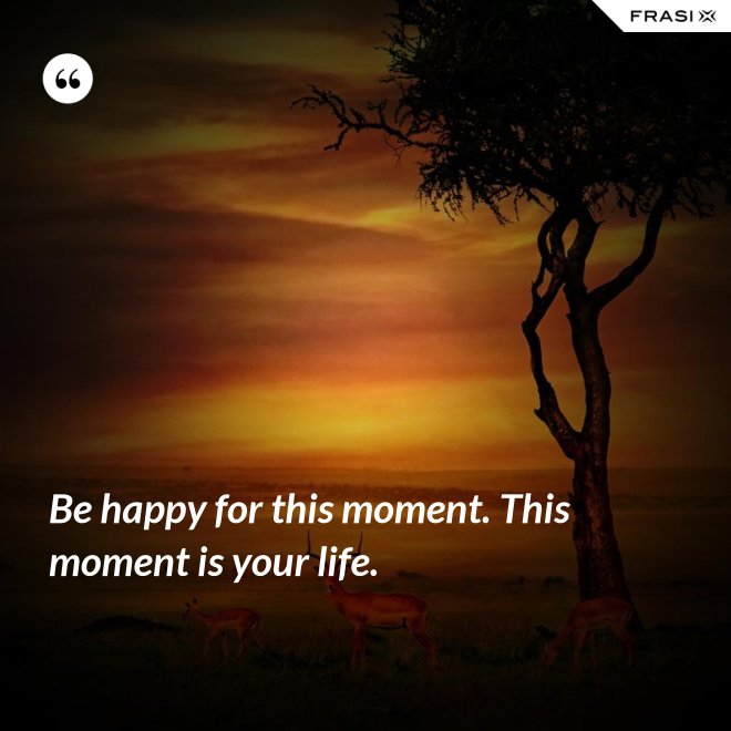 Be happy for this moment. This moment is your life. - Anonimo