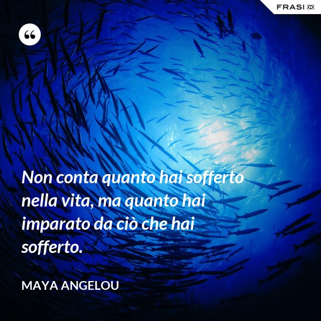 Non conta quanto hai sofferto nella vita, ma quanto hai imparato da ciò che hai sofferto. - Maya Angelou