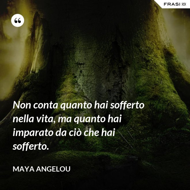 Non conta quanto hai sofferto nella vita, ma quanto hai imparato da ciò che hai sofferto. - Maya Angelou