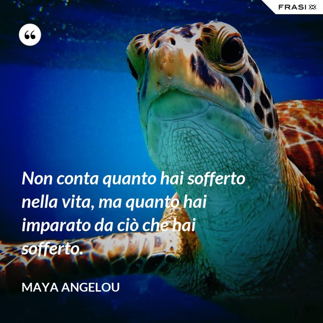 Non conta quanto hai sofferto nella vita, ma quanto hai imparato da ciò che hai sofferto. - Maya Angelou