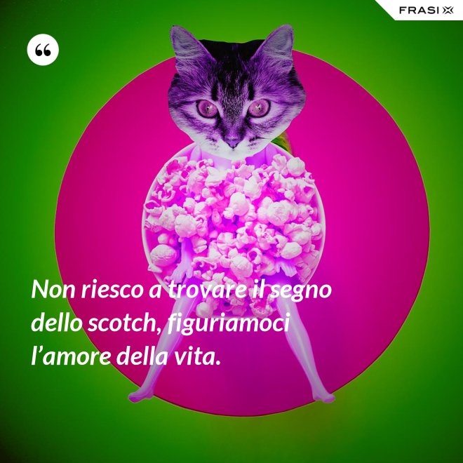 Non riesco a trovare il segno dello scotch, figuriamoci l’amore della vita. - Anonimo