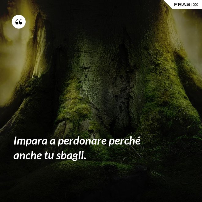 Impara a perdonare perché anche tu sbagli. - Anonimo